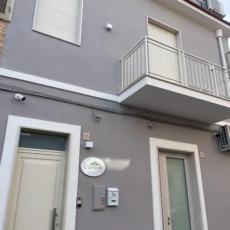 L'ulivo * San Severo